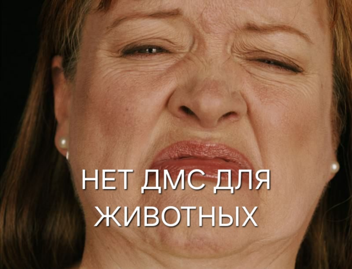 ...согласна, про ДМС для животных я погорячилась
#мем #hr #компенсации #льготы #мотивация | Сетка — социальная сеть от hh.ru