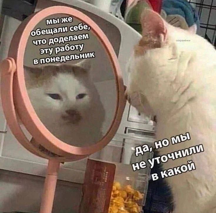 Уходим в выходные с чистой совестью 😇 | Сетка — социальная сеть от hh.ru