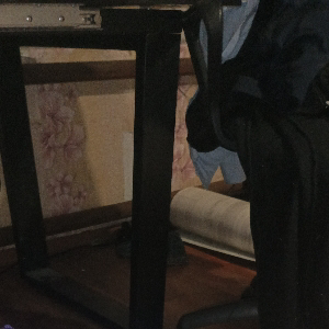 Максим Сафронов