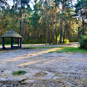Александр Александр