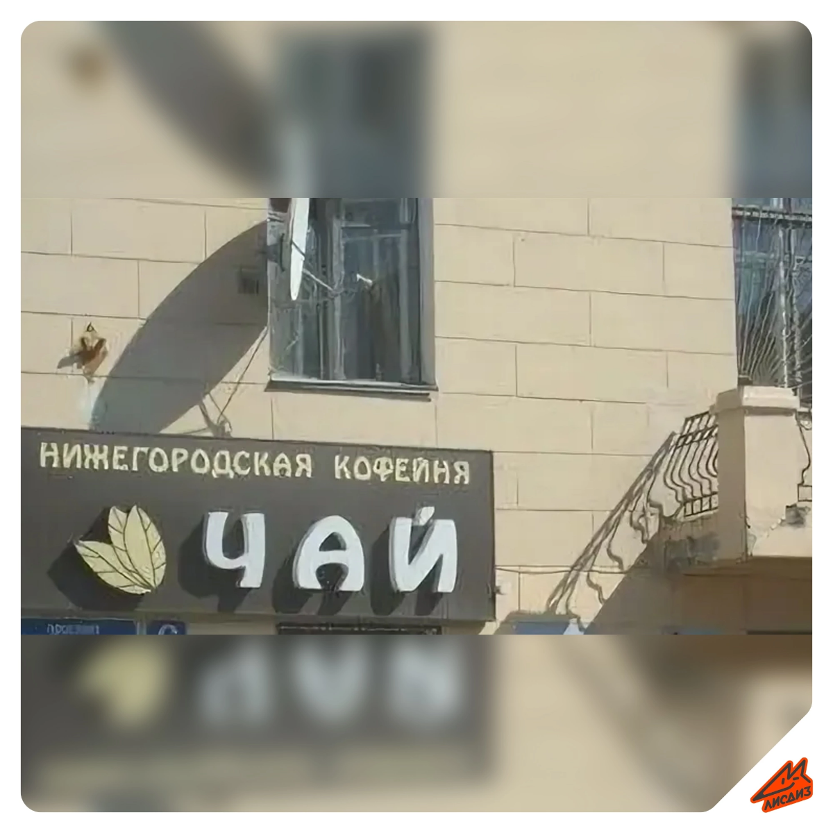 Нейминг на грани или задумка? 😅  
Сегодня пятница, поэтому просто немного юмора из нейминга | Сетка — социальная сеть от hh.ru