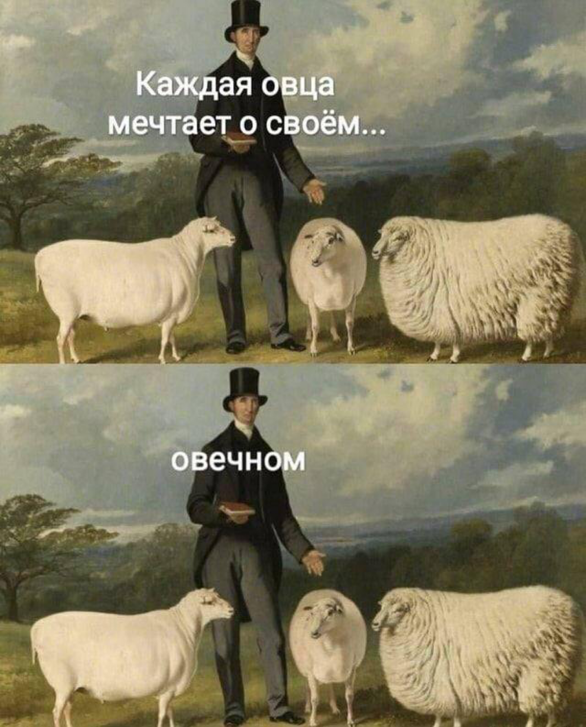 Немного мемов вам в ленту 🙃 | Сетка — социальная сеть от hh.ru