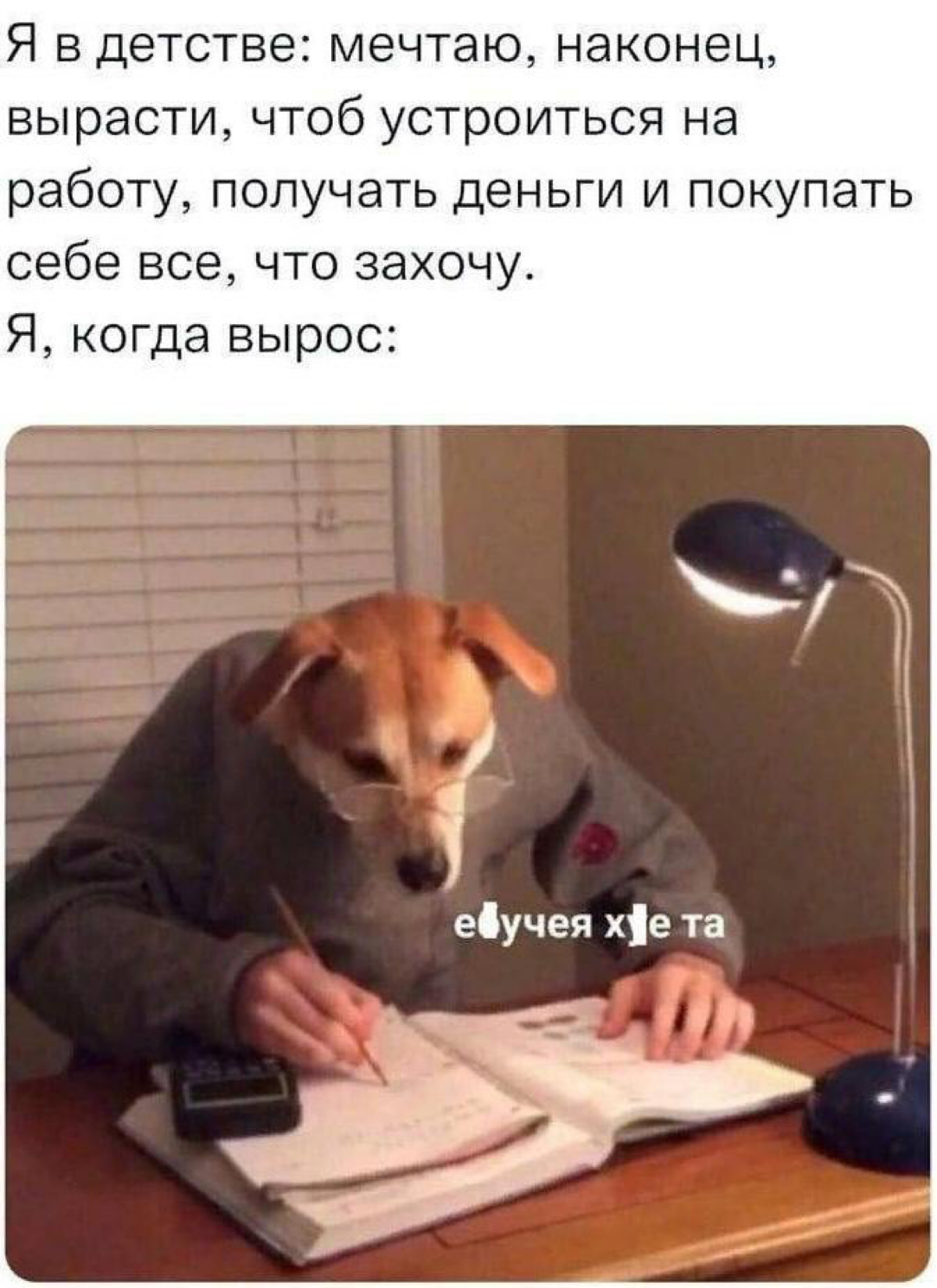 Немного мемов вам в ленту 🙃 | Сетка — социальная сеть от hh.ru