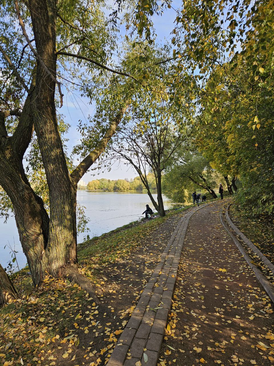 Какая же красивая осень 🍁 | Сетка — социальная сеть от hh.ru