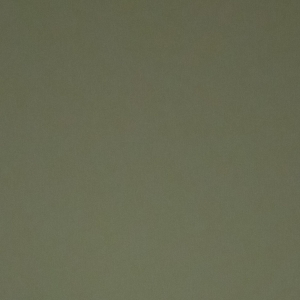Гон Вий