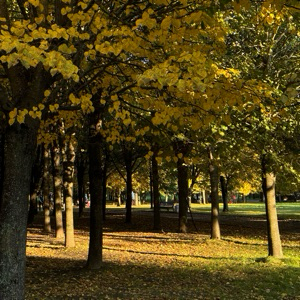 English Language Teaching