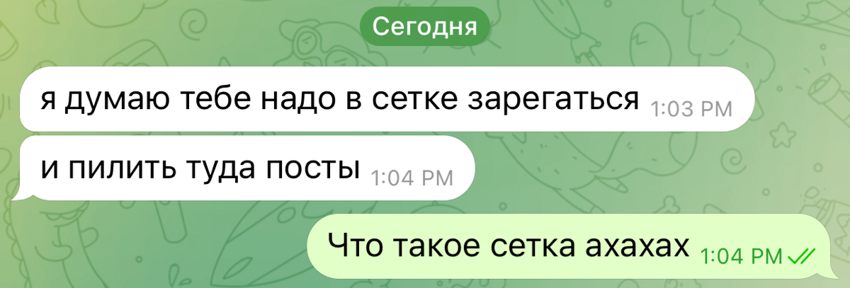 «Лер, заведи Сетку и пили свои посты туда»
Кто я такая, чтобы спорить с умными мира сего (моими коллегами) | Сетка — социальная сеть от hh.ru