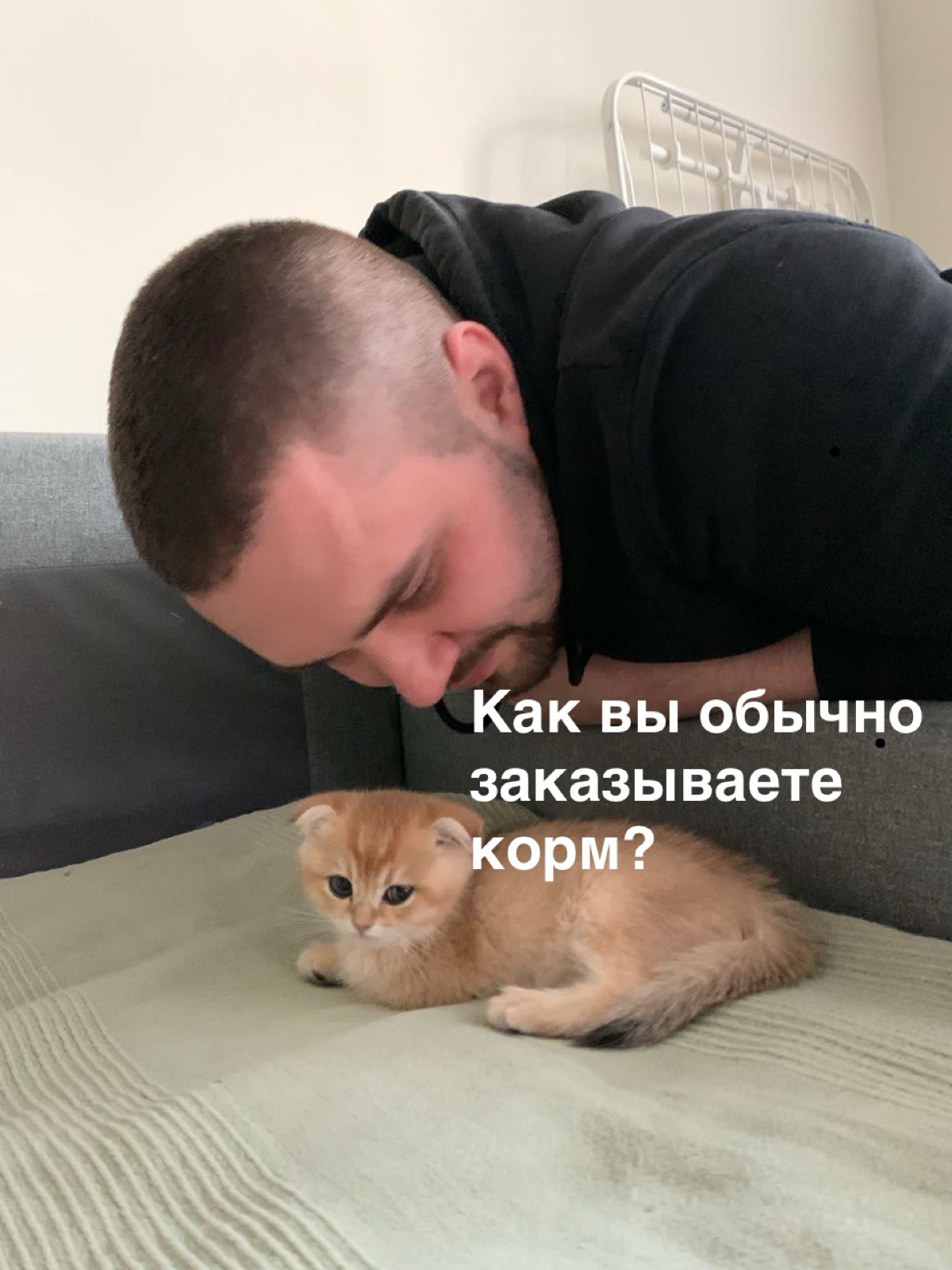 Всем привет!👋🏻 | Сетка — социальная сеть от hh.ru