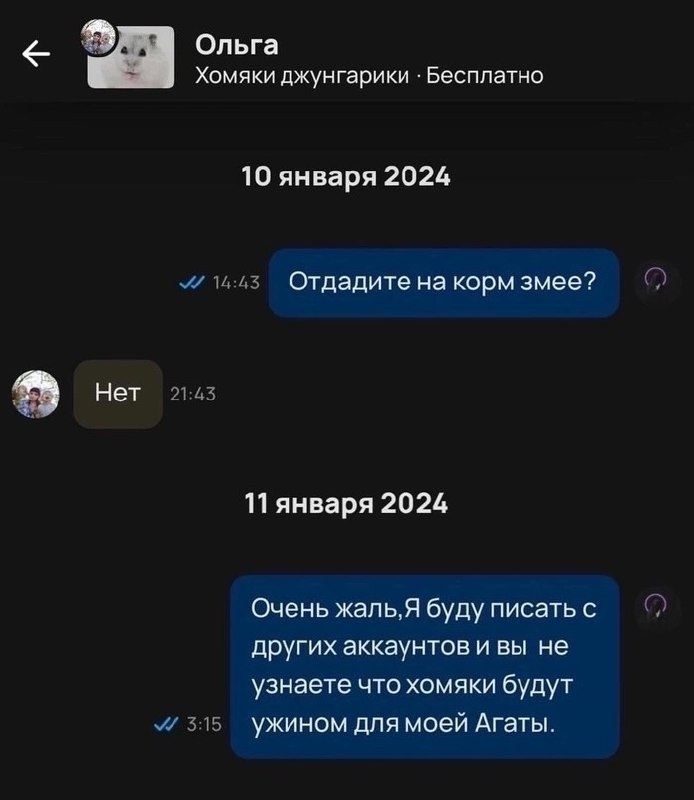 Помянем хомяков ☑️
#Маркетинг | Сетка — социальная сеть от hh.ru