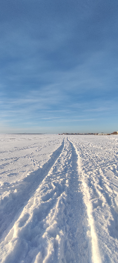 Сетка — социальная сеть от hh.ru