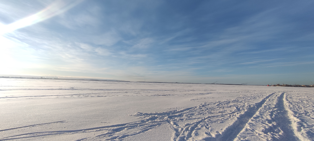 Сетка — социальная сеть от hh.ru