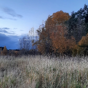 Борис Разыгрин | Сетка — социальная сеть от hh.ru