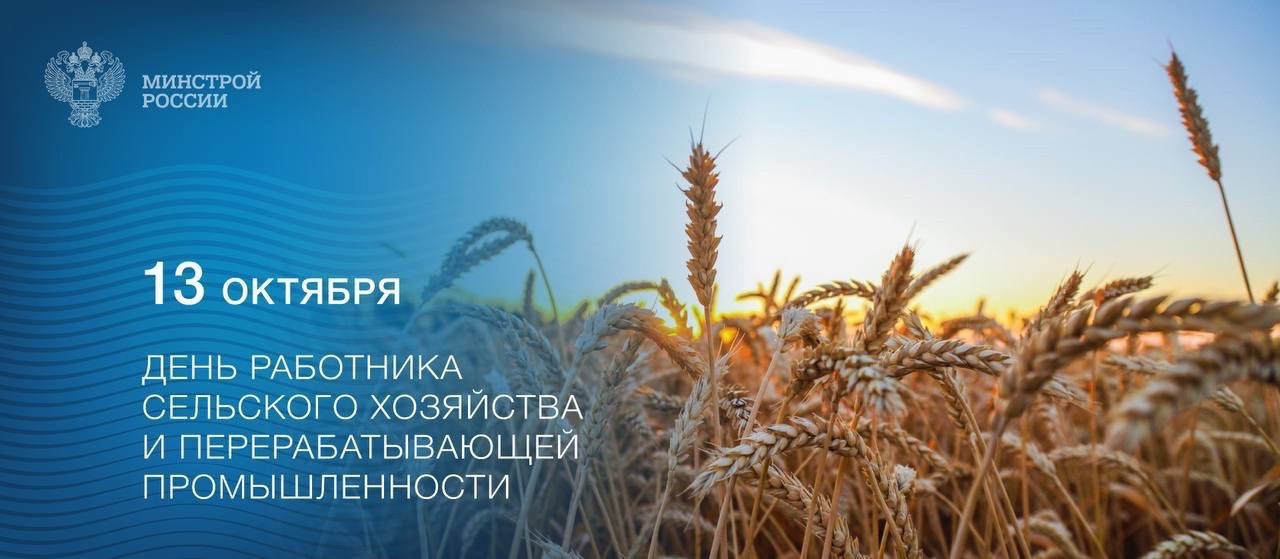 13 октября в России отмечается День работника сельского хозяйства и перерабатывающей промышленности
🤝 Праздник объединяет всех, кто занимается возделыванием сельскохозяйственных культур, животноводств... | Сетка — социальная сеть от hh.ru