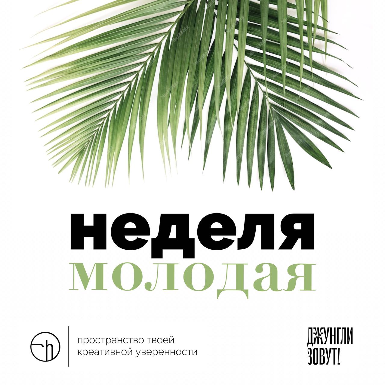 Завтра стартует челлендж с проектом «ДЖУНгли зовут», который ведёт Машер Казанова, HRD REDKEDS и фестиваля G8 | Сетка — социальная сеть от hh.ru