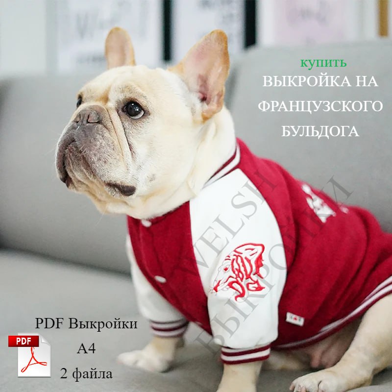 Выкройка Свитшота на Французского Бульдога с пуговицами | Сетка — социальная сеть от hh.ru