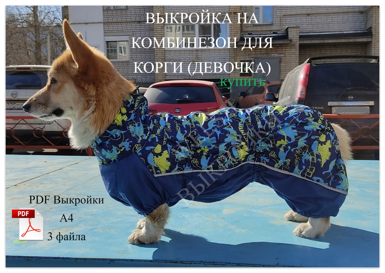 Выкройка на комбинезон для корги (девочка) | Сетка — социальная сеть от hh.ru