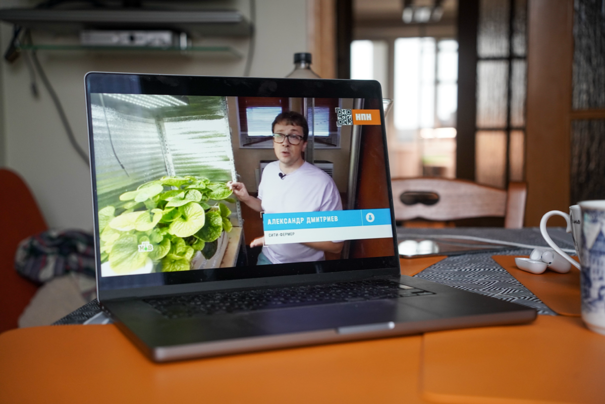 Засветился на НТВ | Сетка — социальная сеть от hh.ru