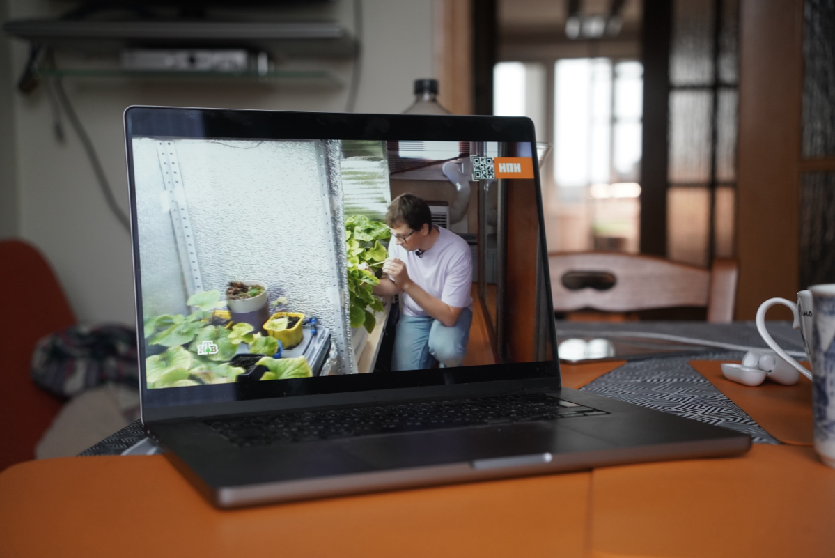 Засветился на НТВ | Сетка — социальная сеть от hh.ru