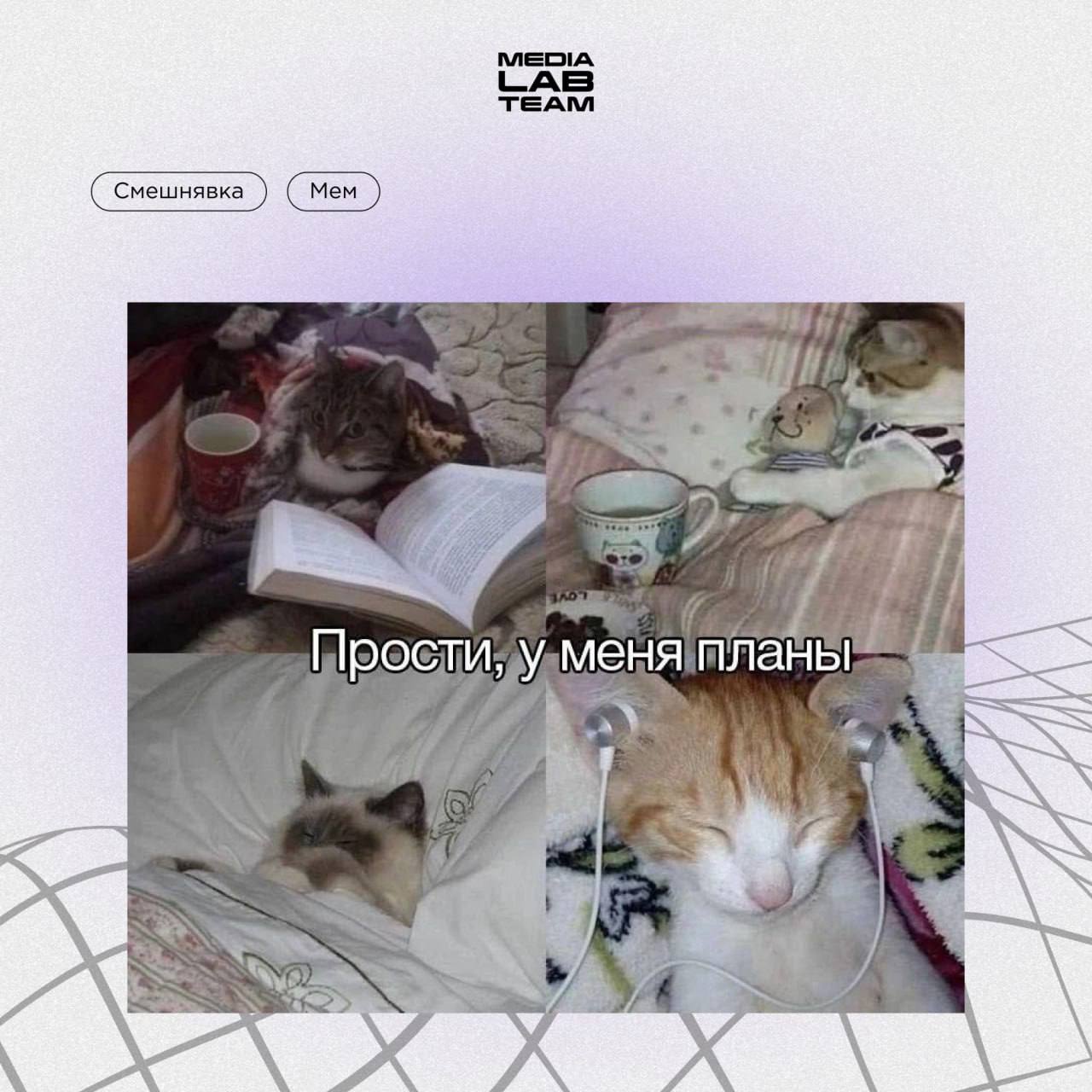 Коллеги, надеемся у вас тоже были такие планы на выходные 🤌
@medialabteam 🤍 | Сетка — социальная сеть от hh.ru