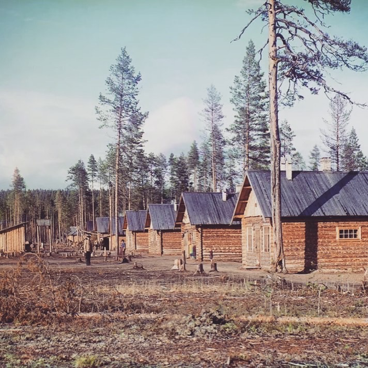 «Повесточка» в Российской Империи | Сетка — социальная сеть от hh.ru