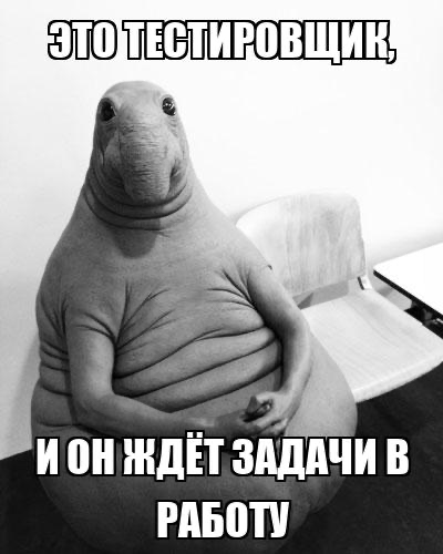 Качественная техническая документация — это основа успешного взаимодействия между командой разработки и пользователями продукта | Сетка — социальная сеть от hh.ru