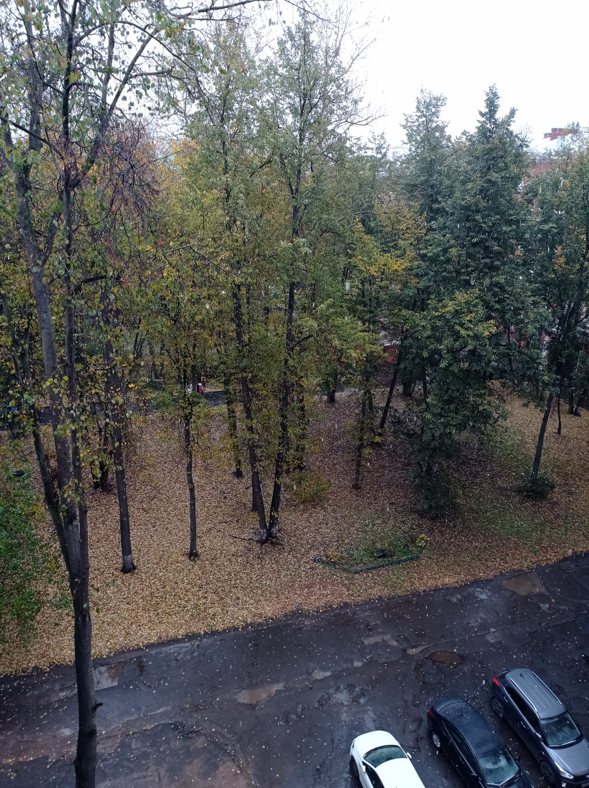 А у нас первый снег. 
А у вас?
Москва, ВДНХ, 14.10.24 | Сетка — социальная сеть от hh.ru