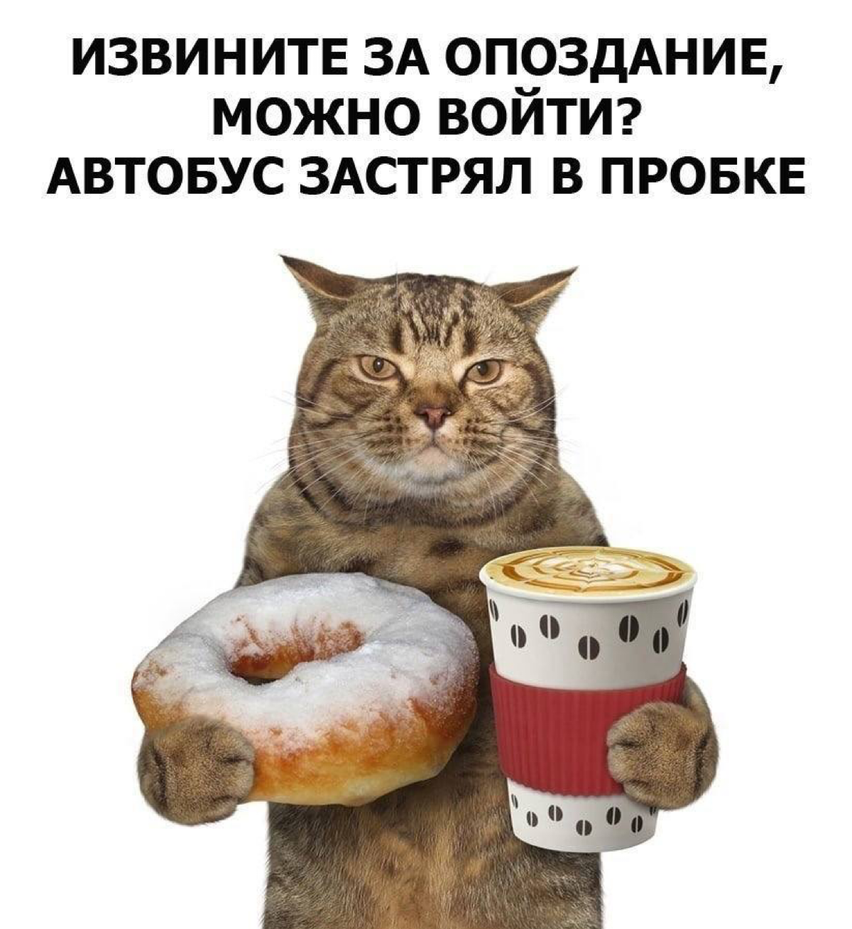 Тупа я 🤣 | Сетка — социальная сеть от hh.ru