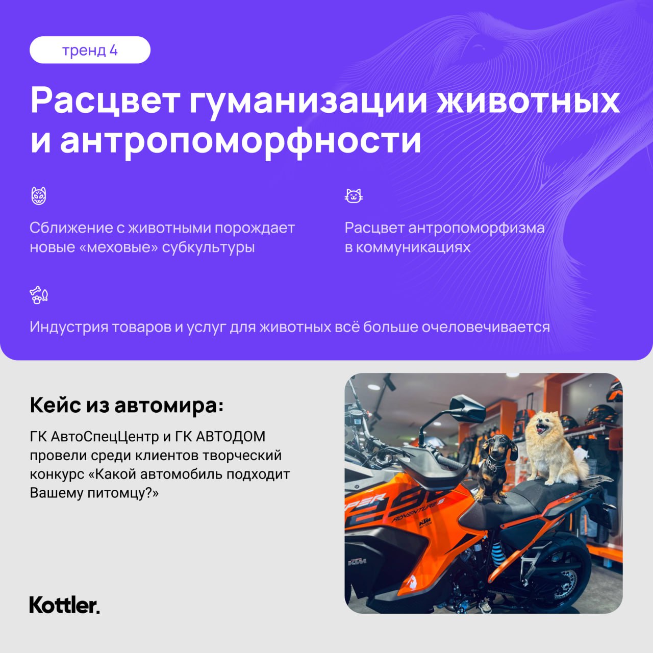 Изучили Trend Vision 2024 от Ipsos | Сетка — социальная сеть от hh.ru