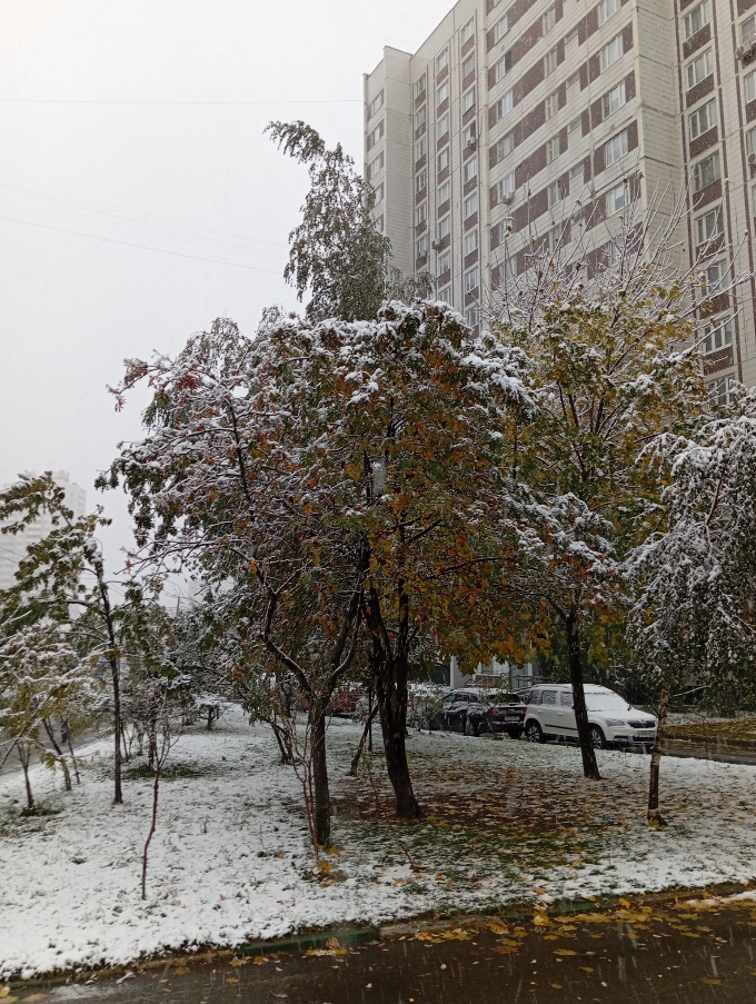 С первым снегом, Москва. | Сетка — социальная сеть от hh.ru