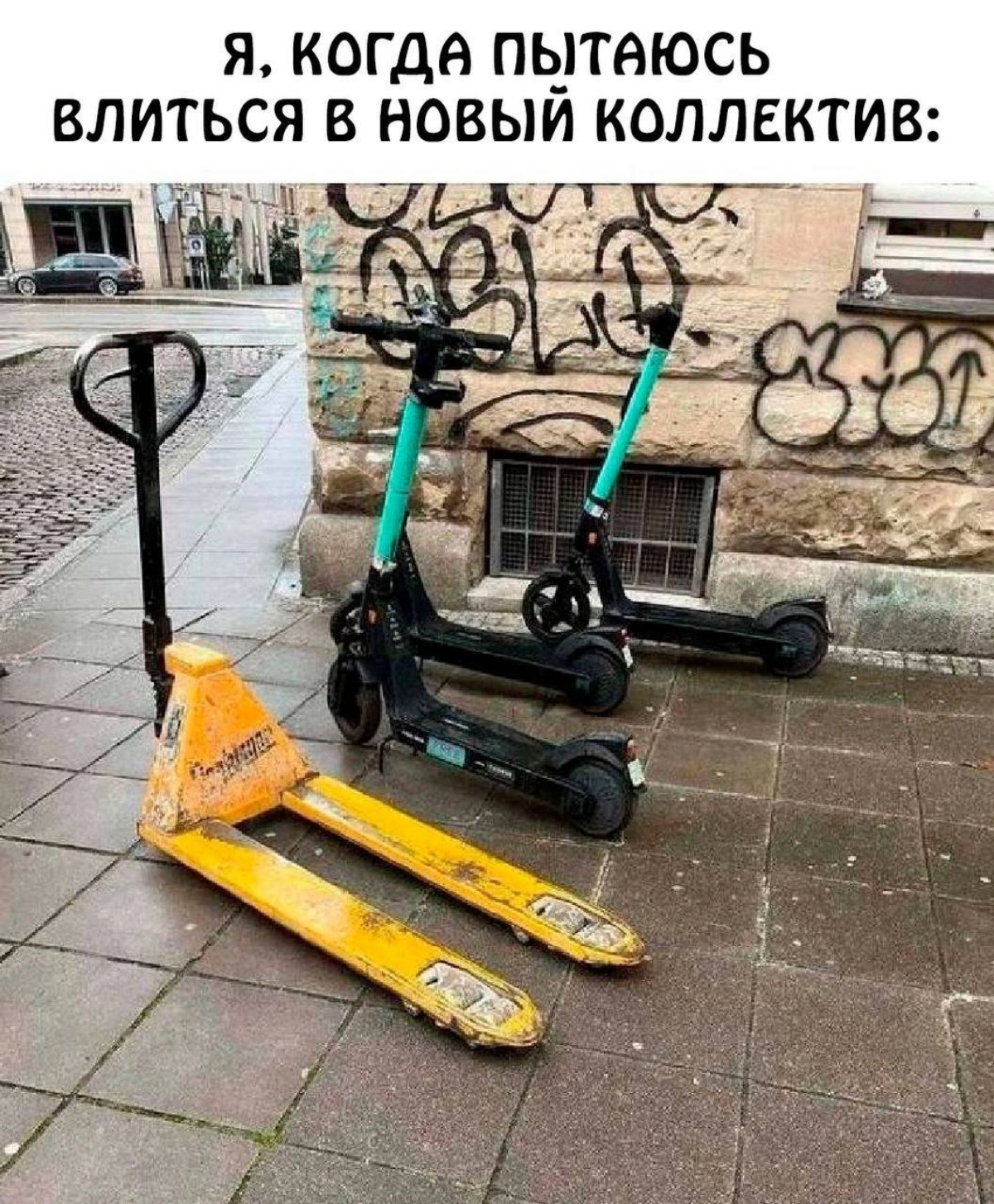 Зачем я пришёл в эту сеть? Смотреть мемы!
Что я дам взамен? Буду скидывать мемы!
Примерно так чувствую себя в этой Сети | Сетка — социальная сеть от hh.ru