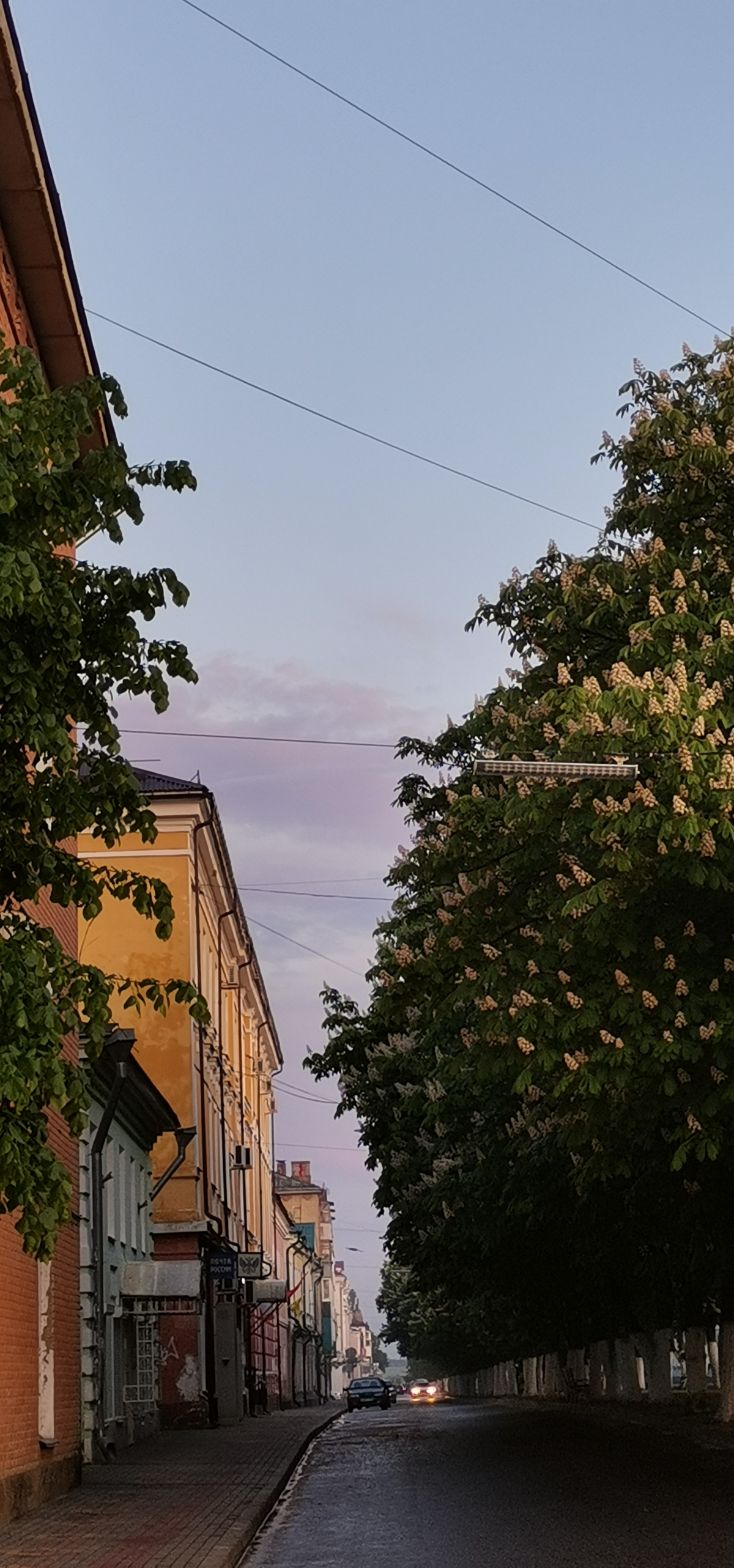 Привет Мир🫶  Меня зовут Ирина✨  
Мне 50 лет, и я решила зайти в эту дверь🙌  
11 лет была ИП детский бизнес🧸  
Год работаю #мобильныйфотограф #мобильныйфотографроманова #фудфотография  все снимаю на те... | Сетка — социальная сеть от hh.ru