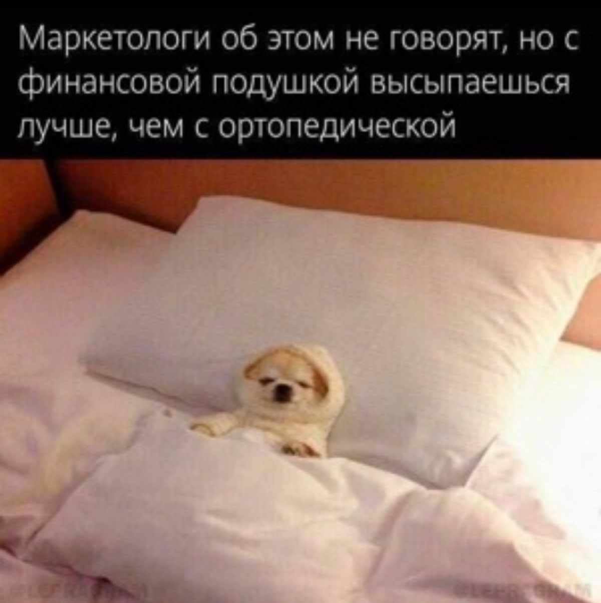 Фан факт: мне очень нравятся мемы 🙂‍↕️ | Сетка — социальная сеть от hh.ru