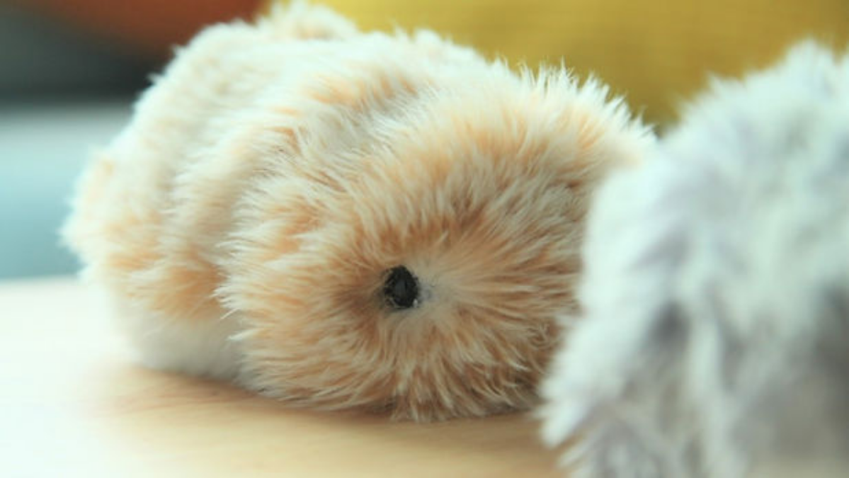 Сегодня в рубрике дичь - робот-питомец от Casio.  
Умеет выражать эмоции, обладает индивидуальностью, создан для обнимашек. Всего 400 баксов | Сетка — социальная сеть от hh.ru