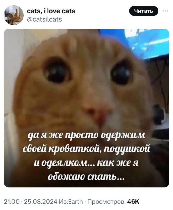 Наши лица на утреннем созвоне говорят только об одном:
➡️ отправь в телеге мем коллеге | Сетка — социальная сеть от hh.ru