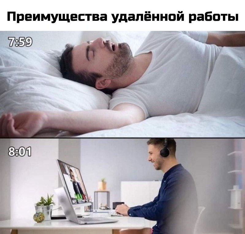 #IT
😂 | Сетка — социальная сеть от hh.ru