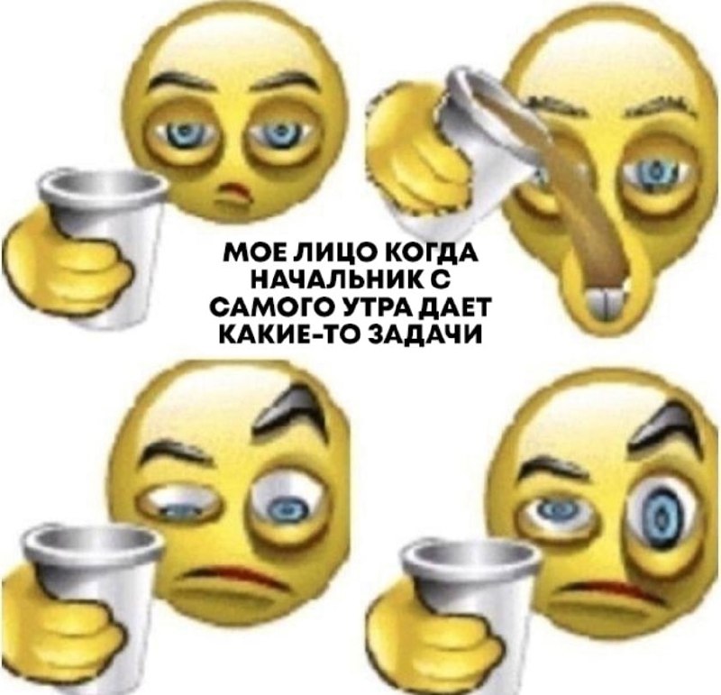 ➡️ отправь в телеге мем коллеге | Сетка — социальная сеть от hh.ru