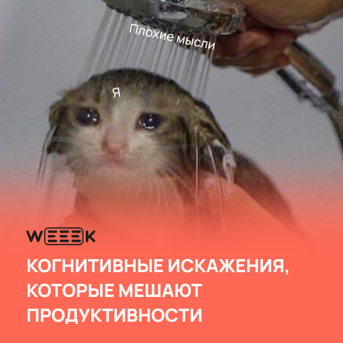 Как говорил Достоевский, ко всему-то человек-подлец привыкает 🙄 Это лишь одна из проблем, которую создаёт наш замечательный мозг. Как не привыкать и отслеживать трюки своего мозга — рассказали в посте | Сетка — социальная сеть от hh.ru