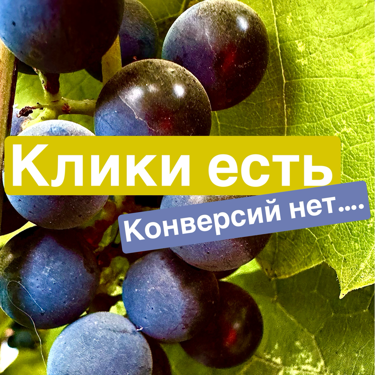 Клики есть — конверсий нет 😕
Заметили, что трафик на сайте есть, но люди не совершают покупки, не оставляют заявки или не подписываются? Это тревожный сигнал 🚨, который говорит о том, что ваш лендинг ... | Сетка — социальная сеть от hh.ru