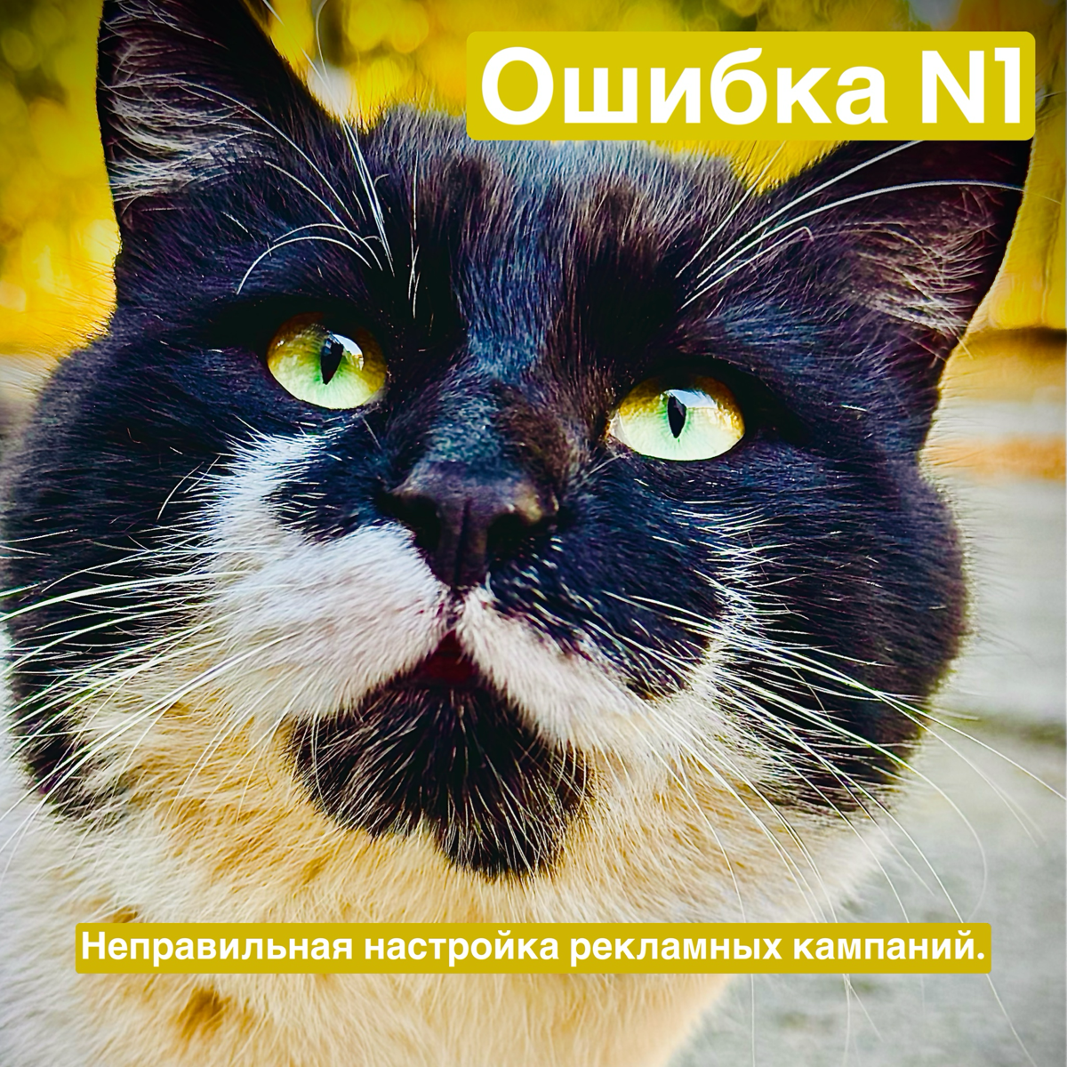 Ошибка 1: Неправильная настройка рекламных кампаний | Сетка — социальная сеть от hh.ru
