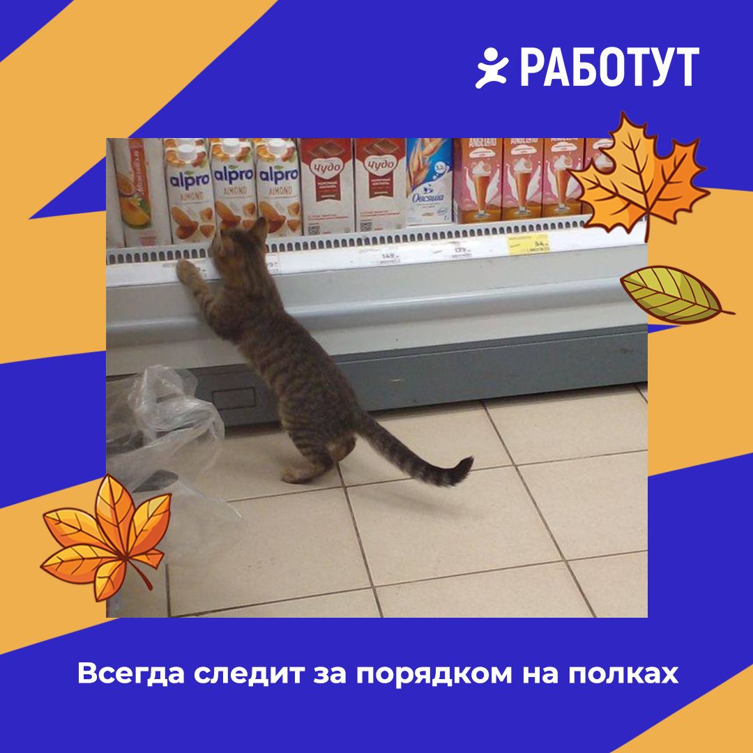 Работут определил четыре вида продавцов!😄
Все они очень ответственно подходят к своей работе, но всё же имеют минимальные отличия 😉 Какие именно? Смотри на картинках! | Сетка — социальная сеть от hh.ru
