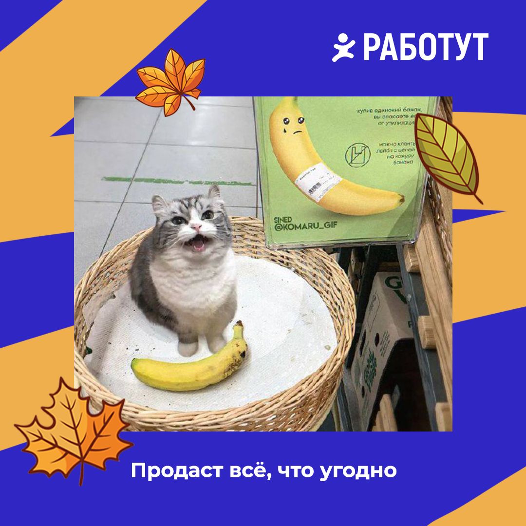 Работут определил четыре вида продавцов!😄
Все они очень ответственно подходят к своей работе, но всё же имеют минимальные отличия 😉 Какие именно? Смотри на картинках! | Сетка — социальная сеть от hh.ru
