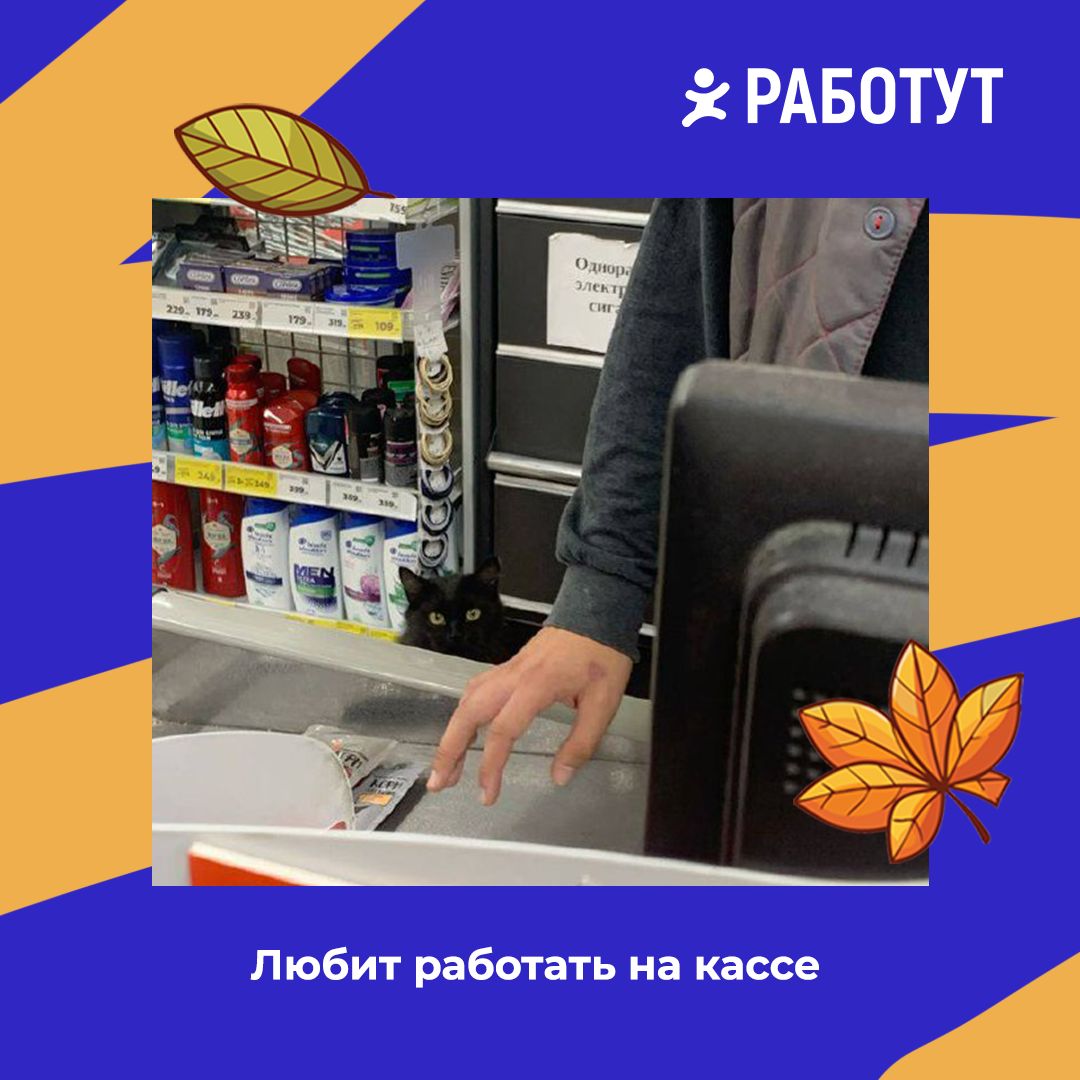 Работут определил четыре вида продавцов!😄
Все они очень ответственно подходят к своей работе, но всё же имеют минимальные отличия 😉 Какие именно? Смотри на картинках! | Сетка — социальная сеть от hh.ru