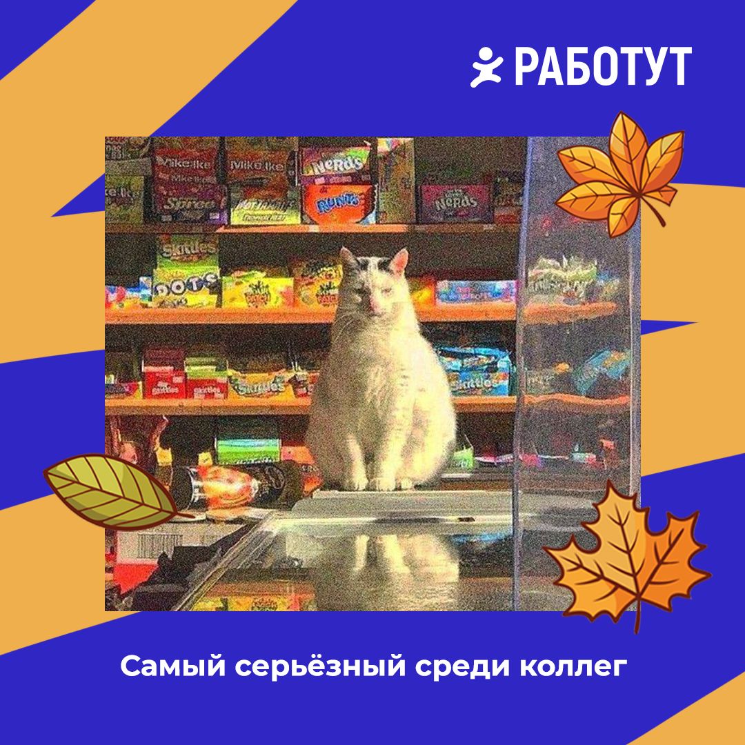 Работут определил четыре вида продавцов!😄
Все они очень ответственно подходят к своей работе, но всё же имеют минимальные отличия 😉 Какие именно? Смотри на картинках! | Сетка — социальная сеть от hh.ru
