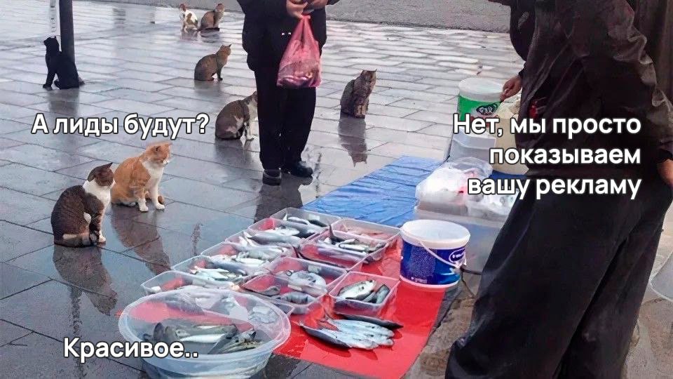 Мы не удержались 🤭 | Сетка — социальная сеть от hh.ru