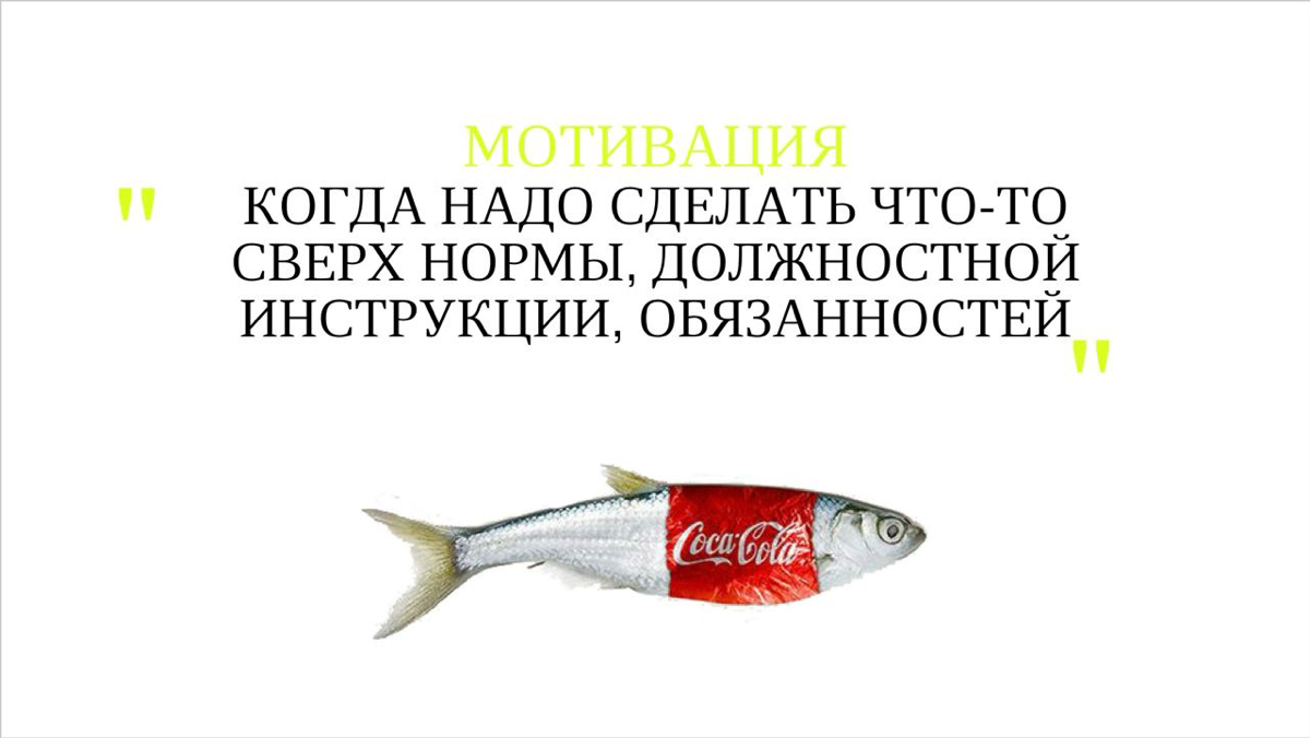 Сегодня пришел запрос от нашего PR, о том что надо написать статью про работу с зуммерами и милениалами - как они уживаются вместе и какие возникают сложности | Сетка — социальная сеть от hh.ru