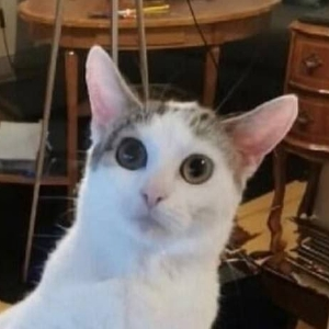 Ярослав Устюжанин | Сетка — социальная сеть от hh.ru