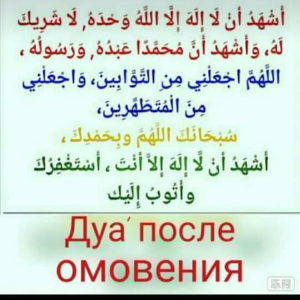 Асият Магомедова