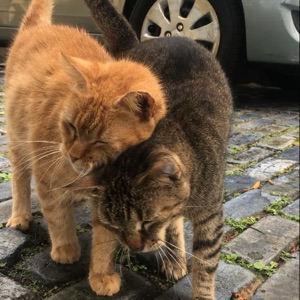 Магомед Берсанов | Сетка — социальная сеть от hh.ru