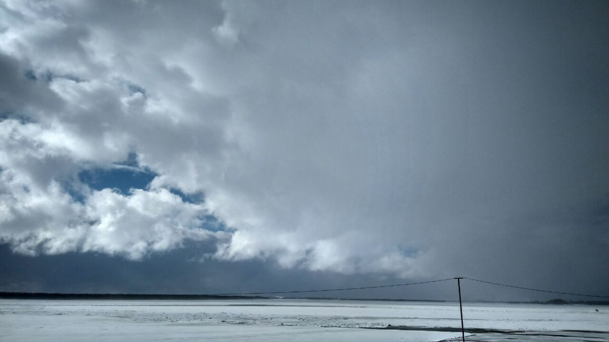 Сетка — социальная сеть от hh.ru