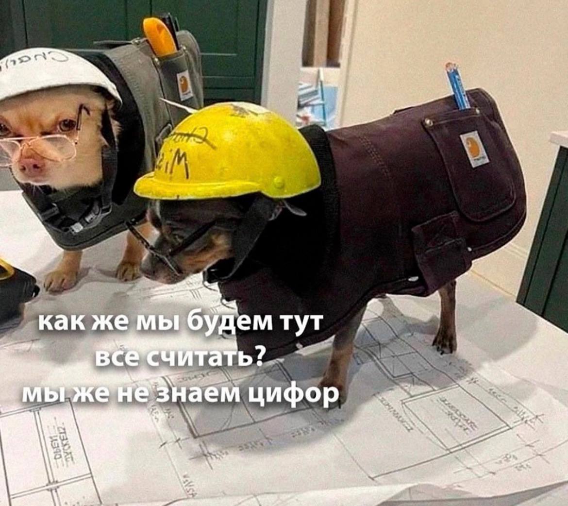 Когда кто-то говорит, что он гуманитарий, я представляю это примерно так))
Простите, гуманитарии 💛 | Сетка — социальная сеть от hh.ru